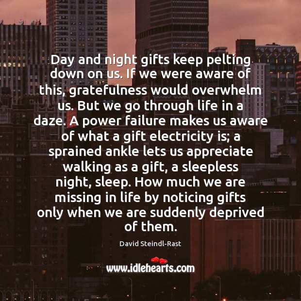 Day and night gifts keep pelting down on us. If we were David Steindl-Rast Picture Quote