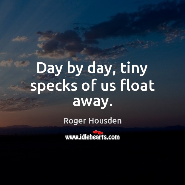 Day by day, tiny specks of us float away. Roger Housden Picture Quote
