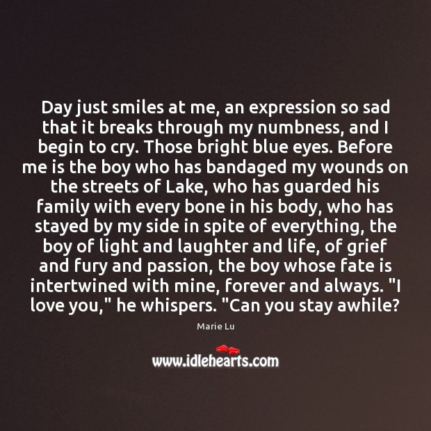Day just smiles at me, an expression so sad that it breaks I Love You Quotes Image