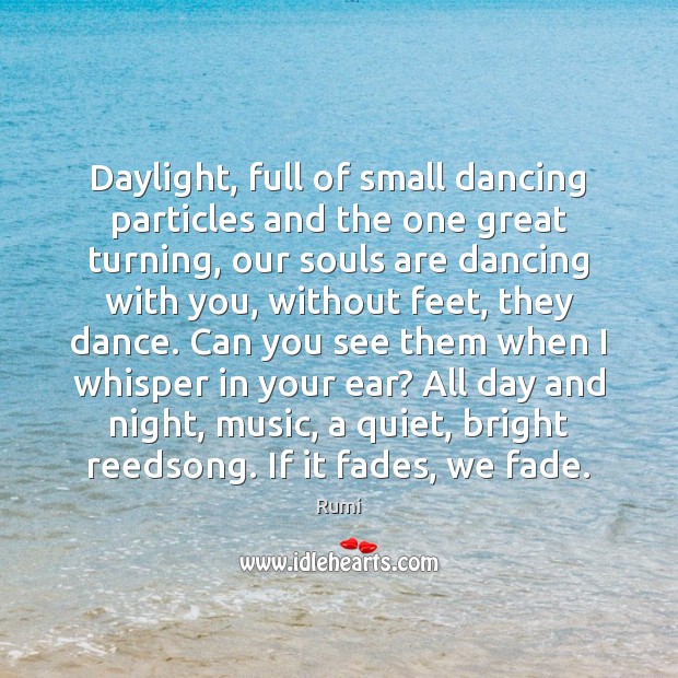Daylight, full of small dancing particles and the one great turning, our Image