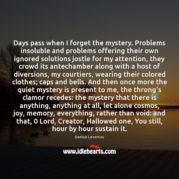 Days pass when I forget the mystery. Problems insoluble and problems offering Denise Levertov Picture Quote