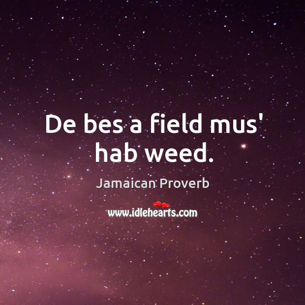 De bes a field mus’ hab weed. Jamaican Proverbs Image