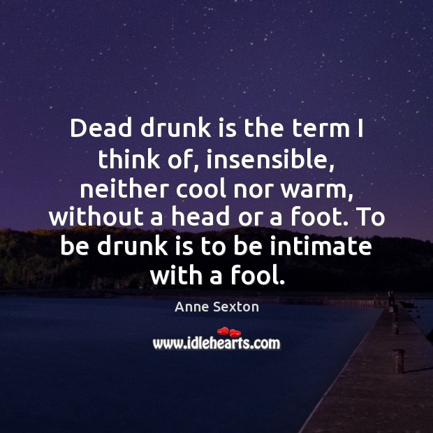 Dead drunk is the term I think of, insensible, neither cool nor Anne Sexton Picture Quote