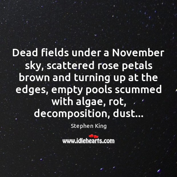 Dead fields under a November sky, scattered rose petals brown and turning Image