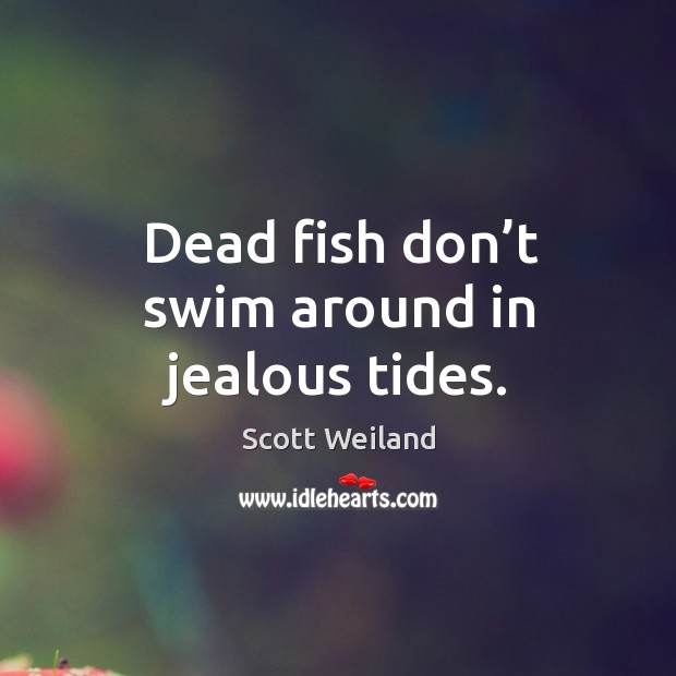 Dead fish don’t swim around in jealous tides. Image
