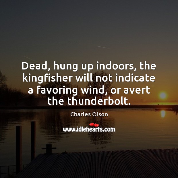 Dead, hung up indoors, the kingfisher will not indicate a favoring wind, Charles Olson Picture Quote