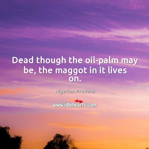 Dead though the oil-palm may be, the maggot in it lives on. Nigerian Proverbs Image