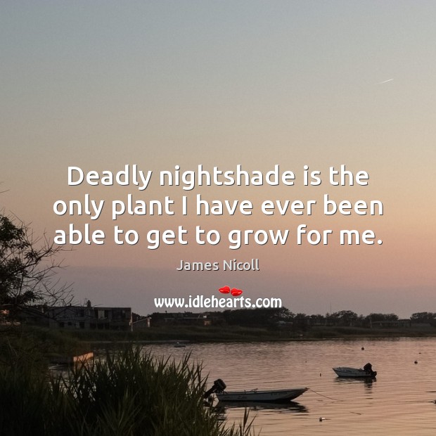 Deadly nightshade is the only plant I have ever been able to get to grow for me. James Nicoll Picture Quote