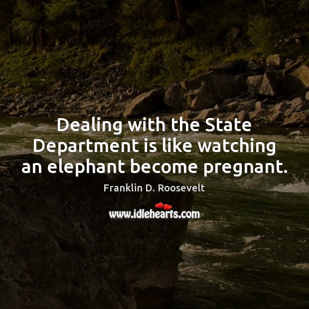 Dealing with the State Department is like watching an elephant become pregnant. Franklin D. Roosevelt Picture Quote