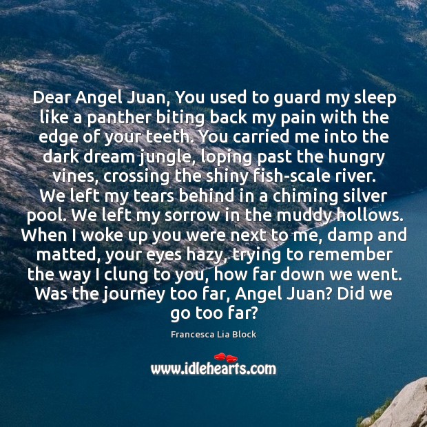 Dear Angel Juan, You used to guard my sleep like a panther Image