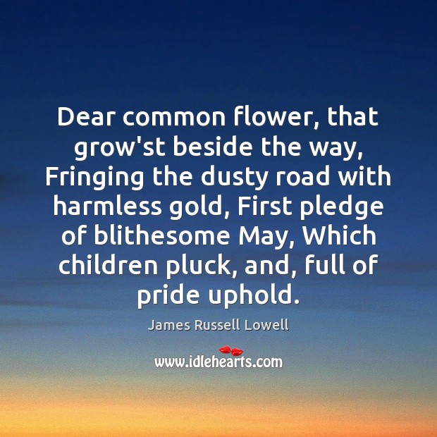 Dear common flower, that grow’st beside the way, Fringing the dusty road James Russell Lowell Picture Quote