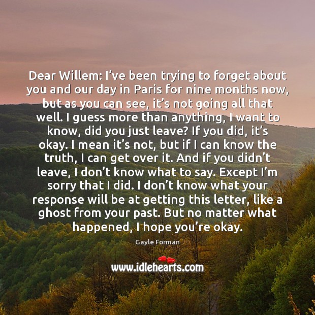 Dear Willem: I’ve been trying to forget about you and our Image