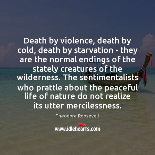 Death by violence, death by cold, death by starvation – they are Theodore Roosevelt Picture Quote