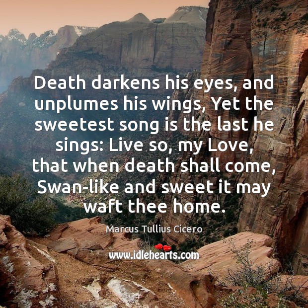 Death darkens his eyes, and unplumes his wings, Yet the sweetest song Marcus Tullius Cicero Picture Quote