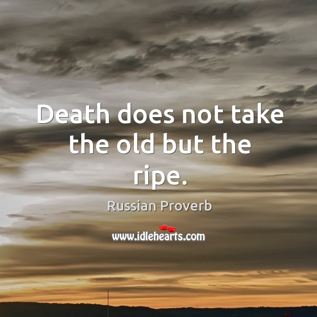 Death does not take the old but the ripe. Image