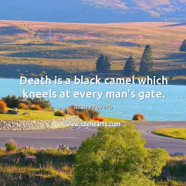 Death is a black camel which kneels at every man’s gate. Arab Proverbs Image
