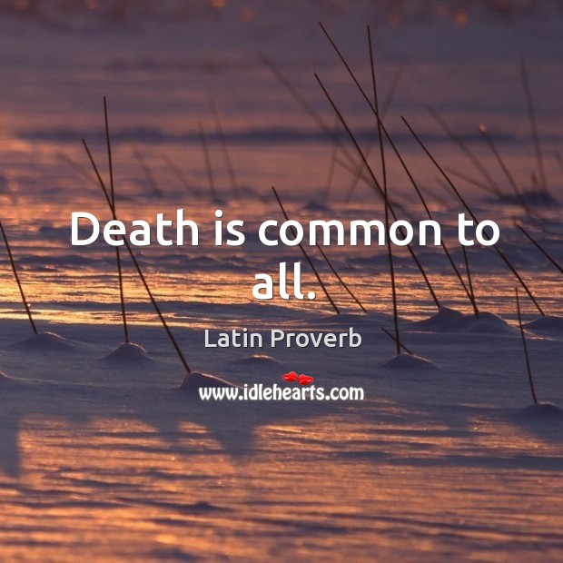 Death is common to all. Image