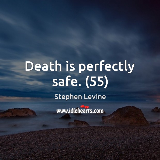 Death is perfectly safe. (55) Stephen Levine Picture Quote
