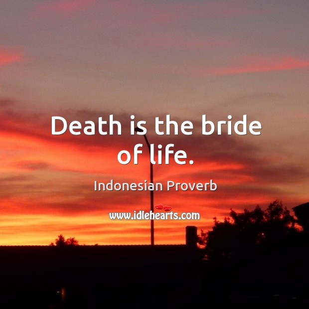 Death is the bride of life. Indonesian Proverbs Image