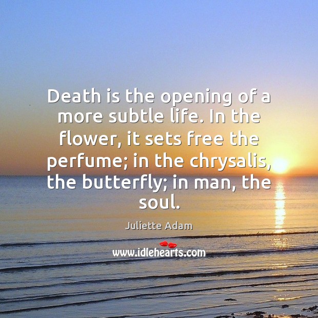 Death is the opening of a more subtle life. In the flower, Juliette Adam Picture Quote