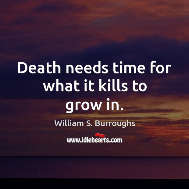 Death needs time for what it kills to grow in. Image