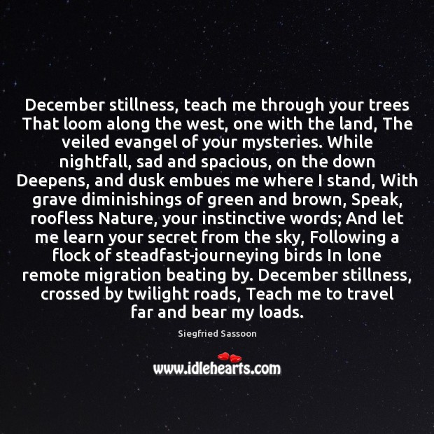 December stillness, teach me through your trees That loom along the west, Siegfried Sassoon Picture Quote