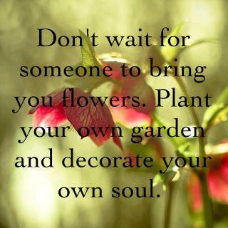 Don’t wait for others to bring you flowers. Advice Quotes Image