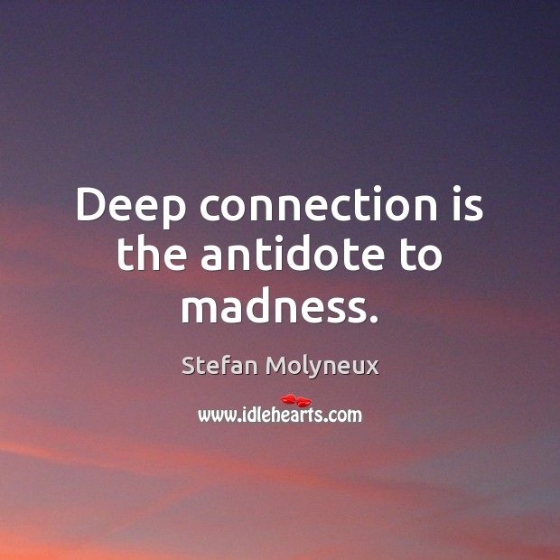 Deep connection is the antidote to madness. Stefan Molyneux Picture Quote