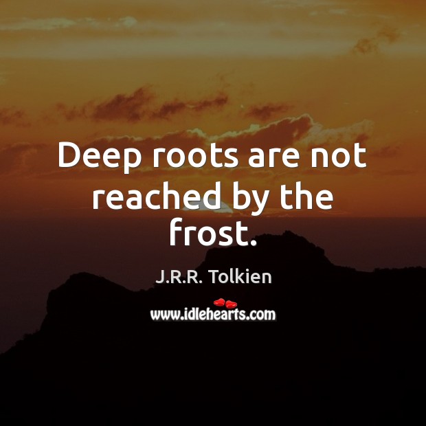 Deep roots are not reached by the frost. Image