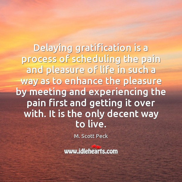 Delaying gratification is a process of scheduling the pain and pleasure of M. Scott Peck Picture Quote