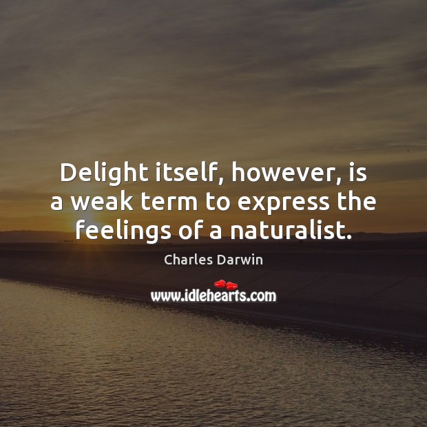 Delight itself, however, is a weak term to express the feelings of a naturalist. Image