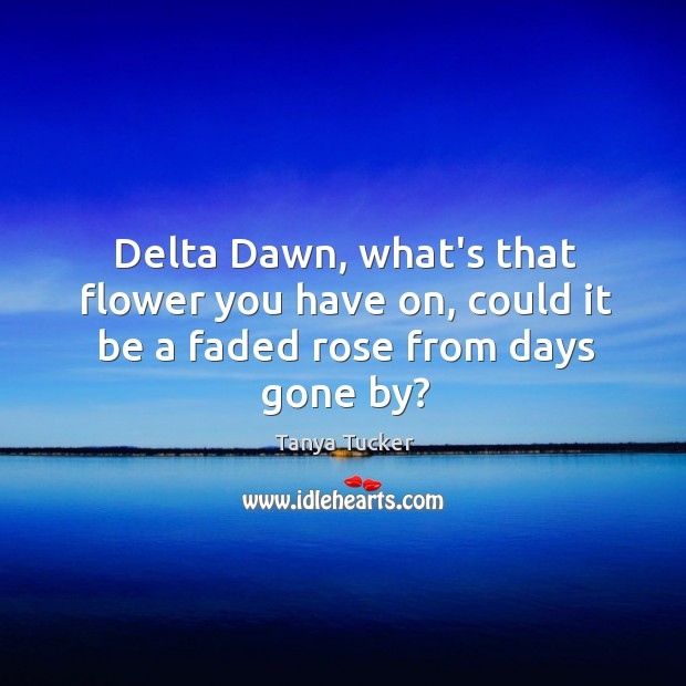 Delta Dawn, what’s that flower you have on, could it be a faded rose from days gone by? Tanya Tucker Picture Quote
