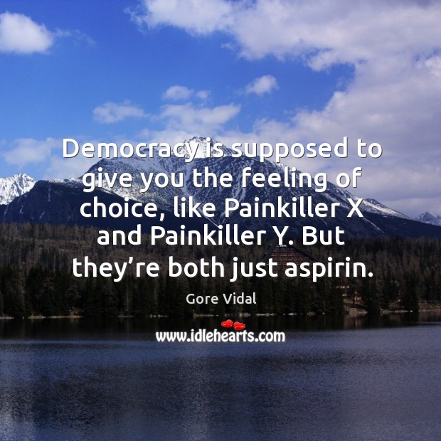 Democracy is supposed to give you the feeling of choice Image