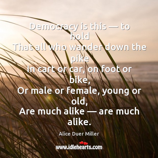 Democracy is this — to hold that all who wander down the pike in cart or car, on foot or bike Alice Duer Miller Picture Quote