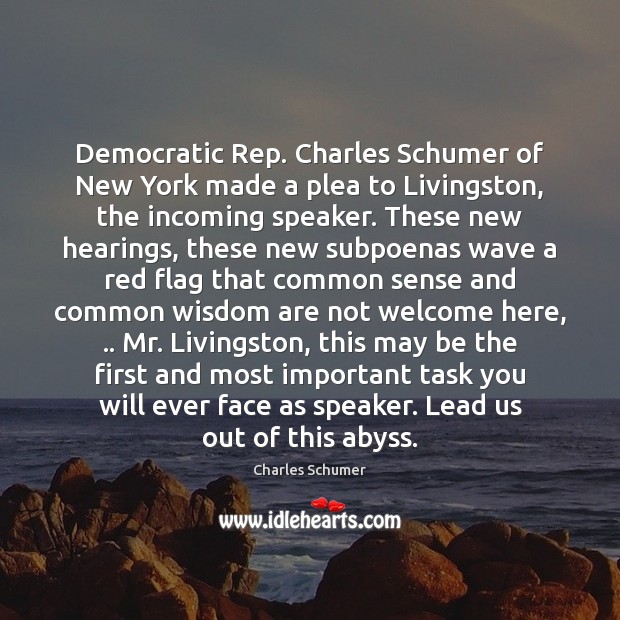 Democratic Rep. Charles Schumer of New York made a plea to Livingston, Charles Schumer Picture Quote