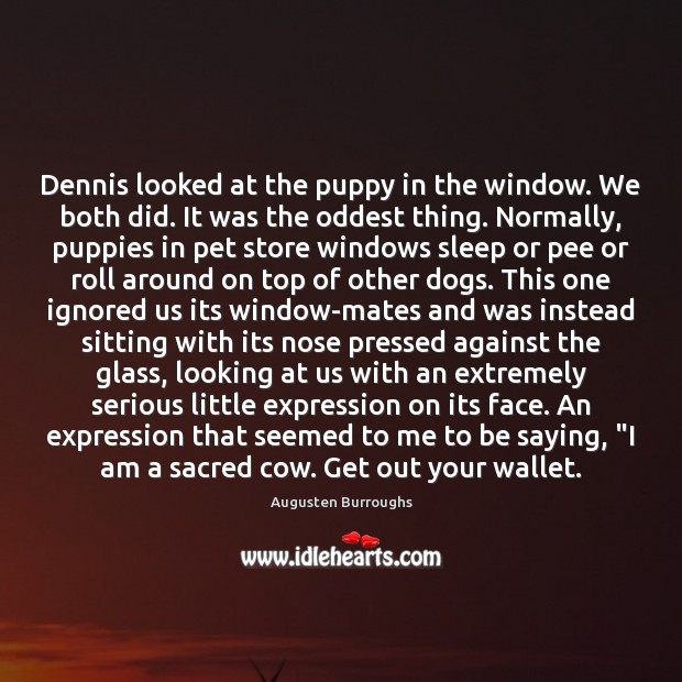 Dennis looked at the puppy in the window. We both did. It Image
