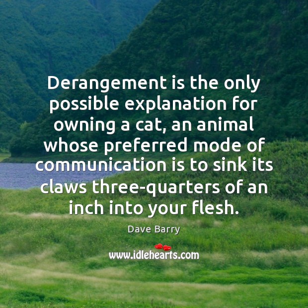 Derangement is the only possible explanation for owning a cat, an animal Dave Barry Picture Quote