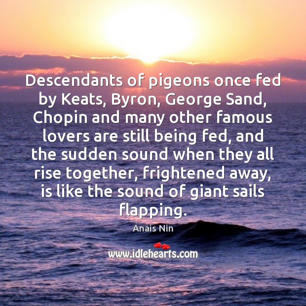 Descendants of pigeons once fed by Keats, Byron, George Sand, Chopin and Anais Nin Picture Quote