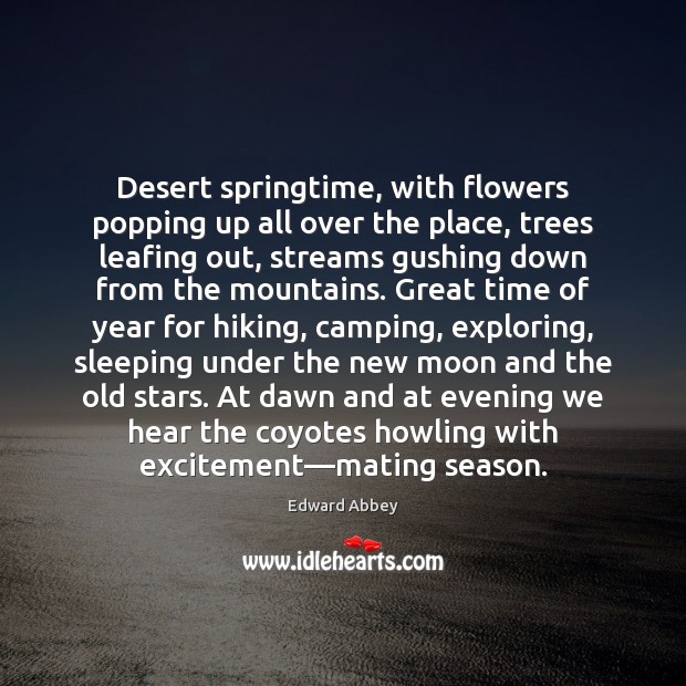 Desert springtime, with flowers popping up all over the place, trees leafing Edward Abbey Picture Quote