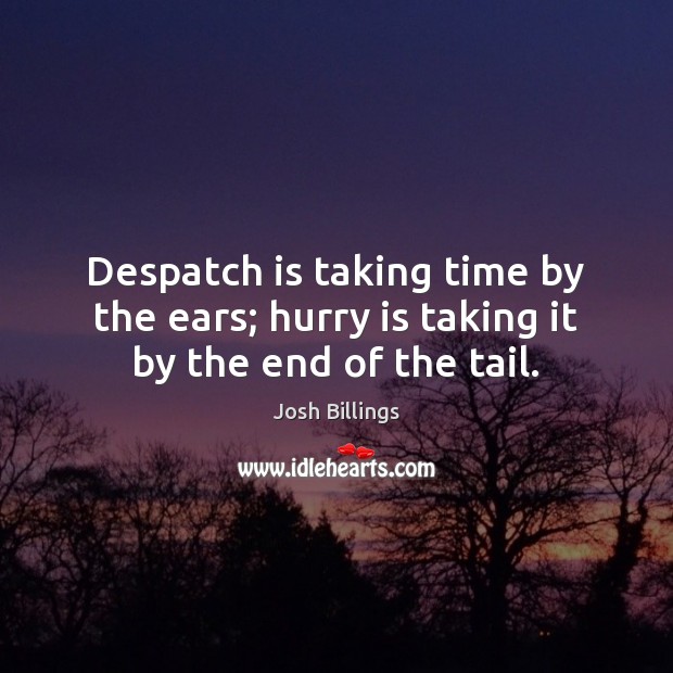 Despatch is taking time by the ears; hurry is taking it by the end of the tail. Josh Billings Picture Quote