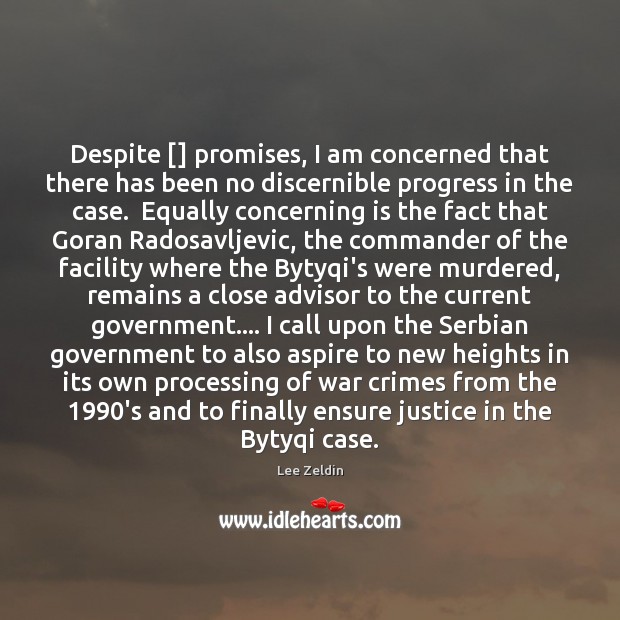 Despite [] promises, I am concerned that there has been no discernible progress Lee Zeldin Picture Quote