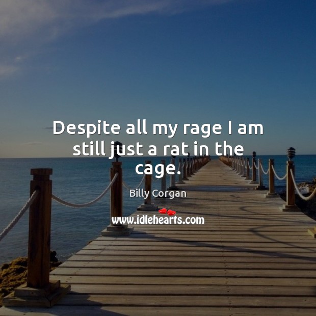 Despite all my rage I am still just a rat in the cage. Billy Corgan Picture Quote
