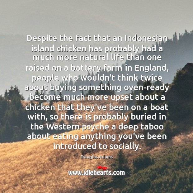 Despite the fact that an Indonesian island chicken has probably had a Image