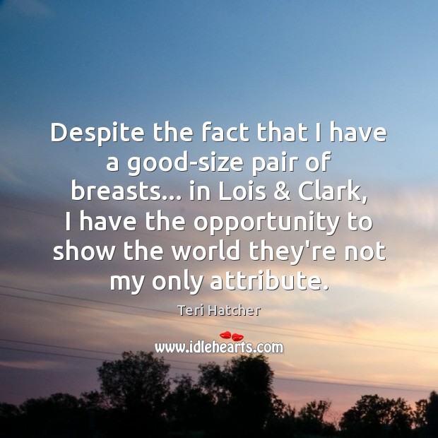 Despite the fact that I have a good-size pair of breasts… in Teri Hatcher Picture Quote