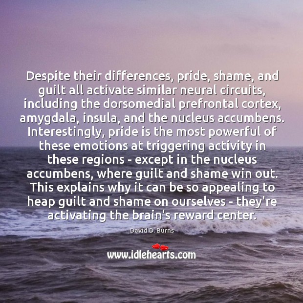 Despite their differences, pride, shame, and guilt all activate similar neural circuits, Image