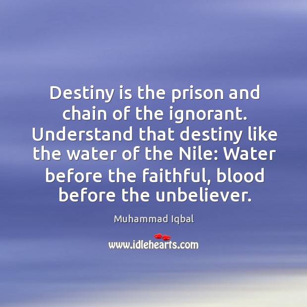 Destiny is the prison and chain of the ignorant. Understand that destiny like the water Muhammad Iqbal Picture Quote