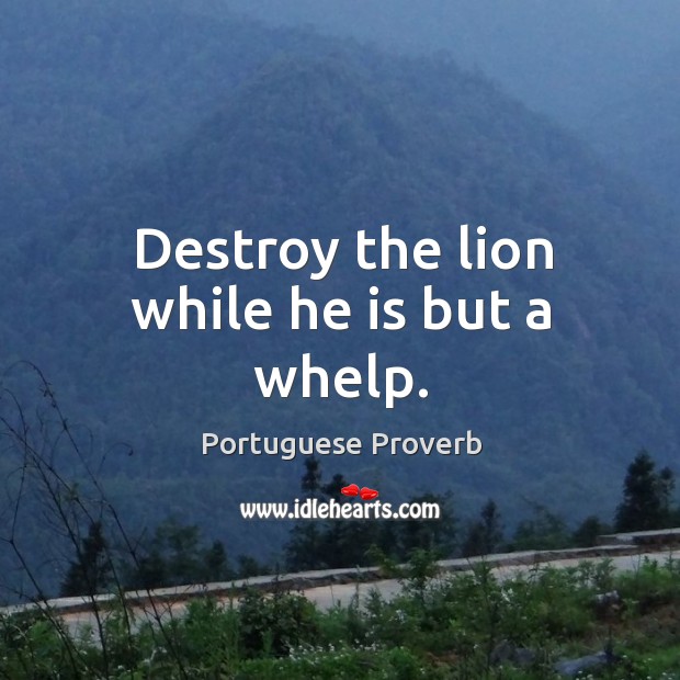 Destroy the lion while he is but a whelp. Image