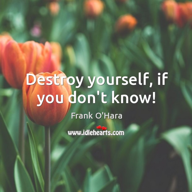 Destroy yourself, if you don’t know! Frank O’Hara Picture Quote