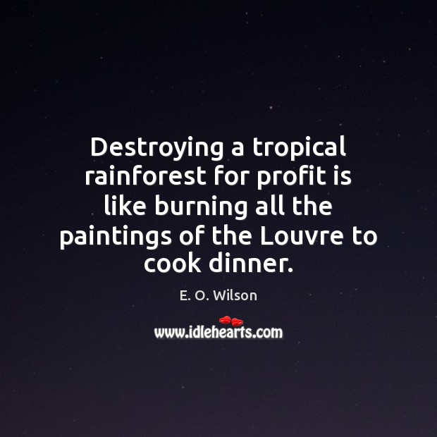 Destroying a tropical rainforest for profit is like burning all the paintings Cooking Quotes Image