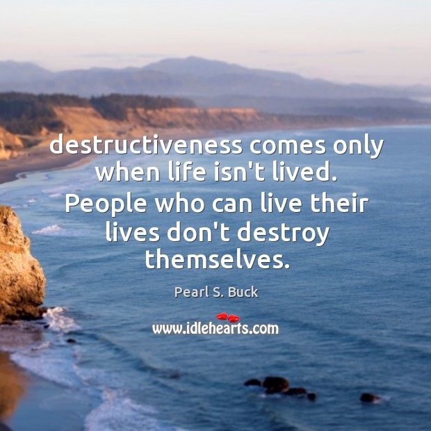 Destructiveness comes only when life isn’t lived. People who can live their Image